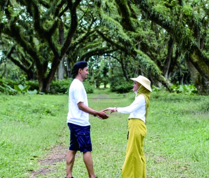 Honeymoon Trip